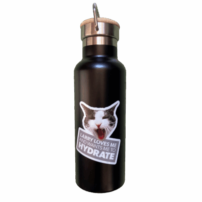 Larry Water Bottle